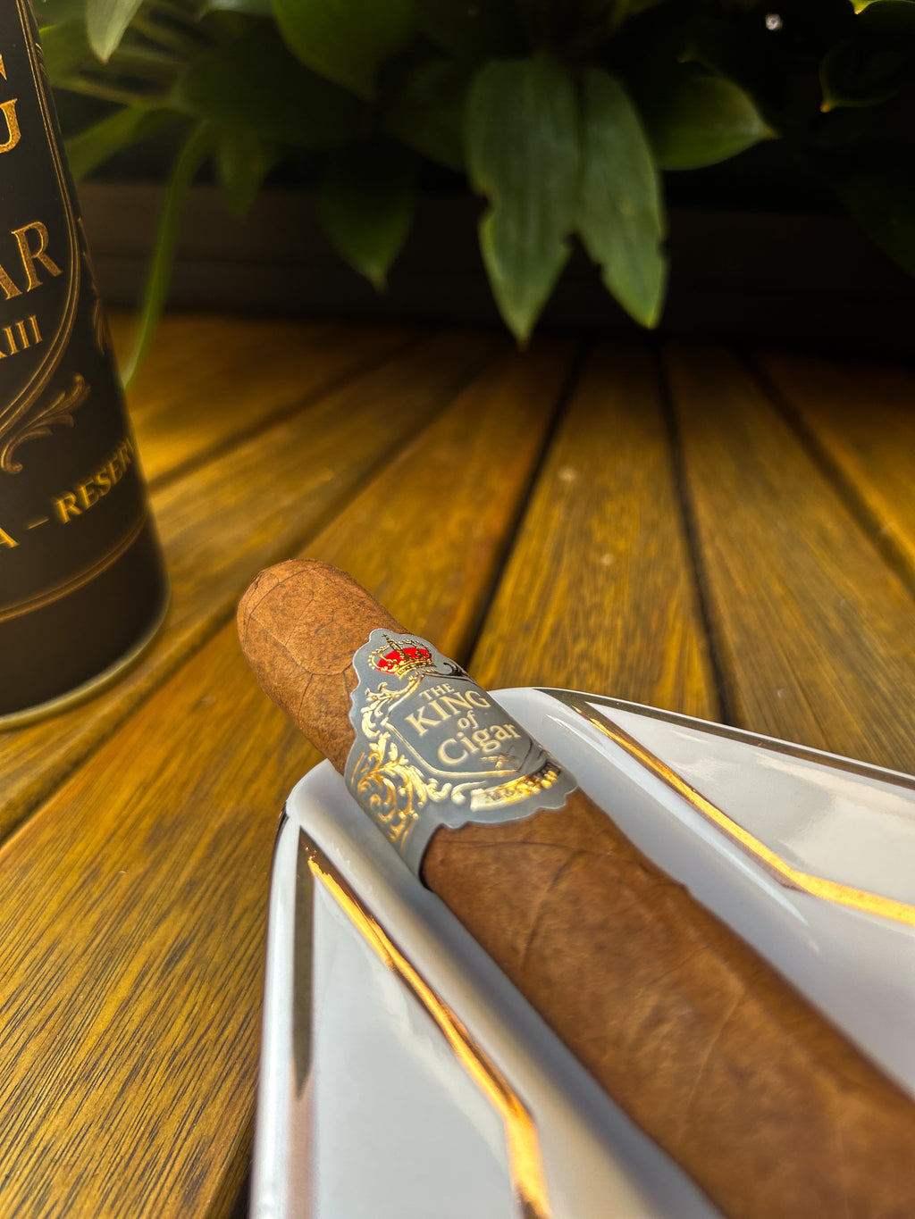 Pack Intermediário + Cortador Simples