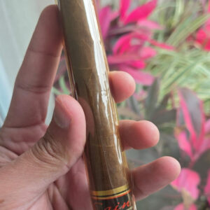 Cain Habano 550