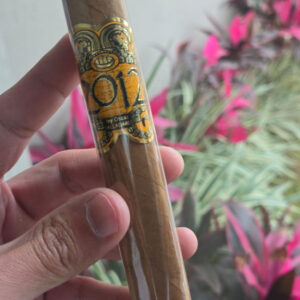 Oscar Valladares 2012 Connecticut Toro