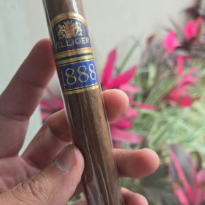 Villinger Toro